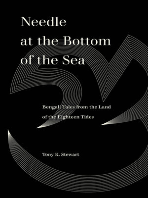 cover image of Needle at the Bottom of the Sea